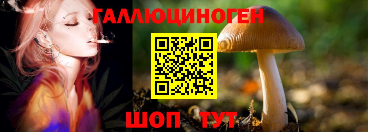 Галлюциногенные грибы мицелий Минеральные Воды